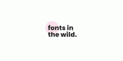 5f280887c2636882fa00a327_fonts-in-the-wild